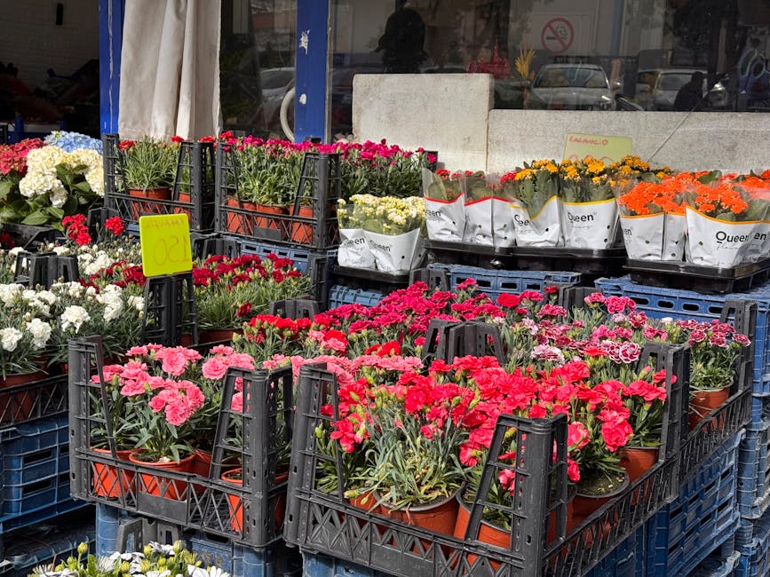 An outdoor display of flower pots arranged on black plastic crates, featuring vibrant pink, red, and white carnations with lush green leaves. Behind the display, there are additional potted flowers in